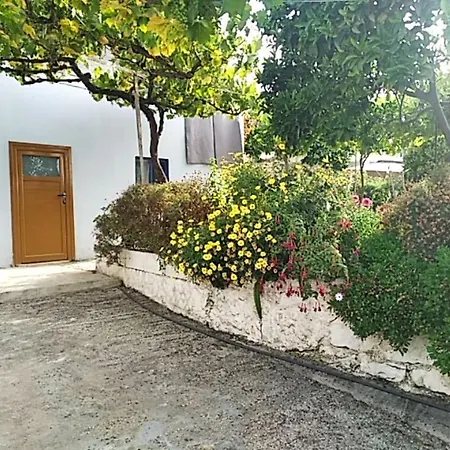 Apartment Hako *